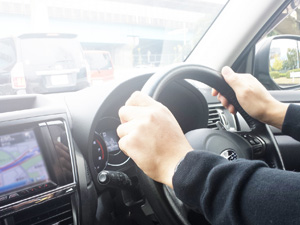 調査のポイント